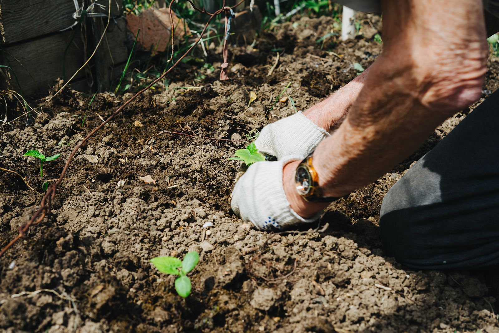 Un huerto en la terraza puede acabar en los tribunales. Fuente: BigStock.