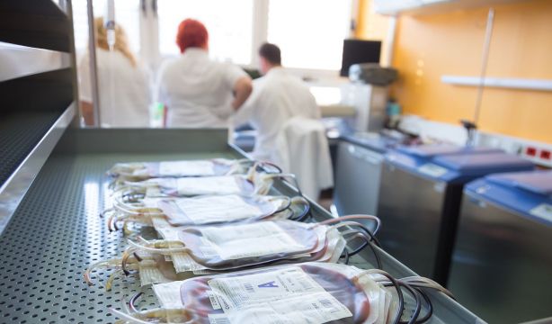 Fin al edadismo en patologías sanguíneas: la edad deja de ser el principal criterio terapéutico
