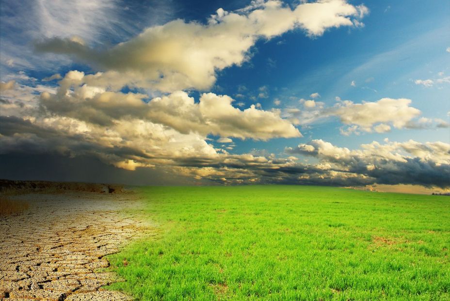 bigstock Green grass and cracked desert 14010605