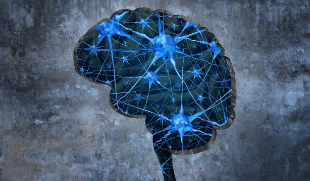 Descubren que el espacio entre las neuronas influye en la comunicación cerebral