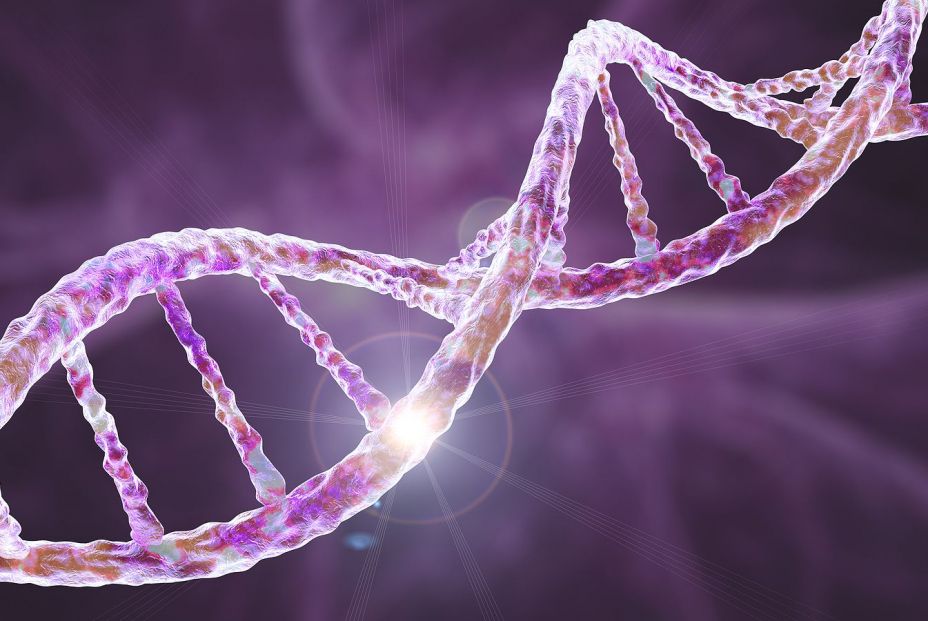 Imagen conceptual de gen. (Bigstock)