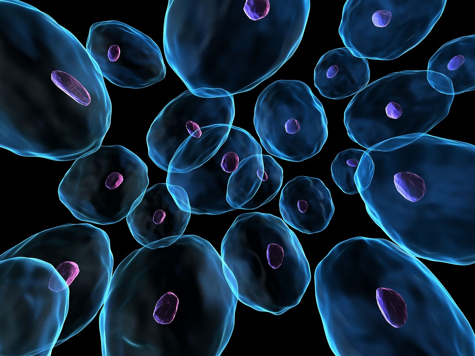 El mapa de cómo el envejecimiento 'cambia' todas las células. (Bigstock)