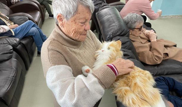 Un gato robótico ayuda a los mayores a combatir la soledad Un gato robótico ayuda a los mayores a combatir la soledad