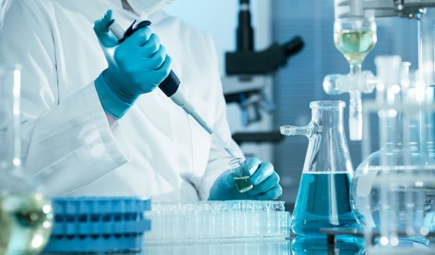 España busca una "píldora" contra el envejecimiento 