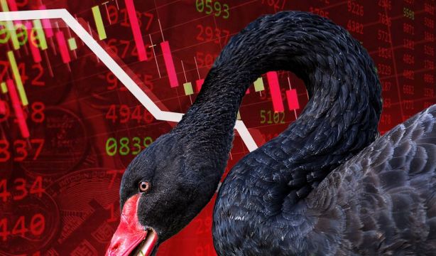 ¿Estamos ante un nuevo cisne negro en la economia mundial? ¿Estamos ante un nuevo cisne negro en la economia mundial?