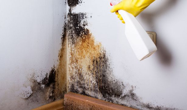 El enemigo está en casa: alertan de los riesgos del moho, las velas aromáticas o la radiación