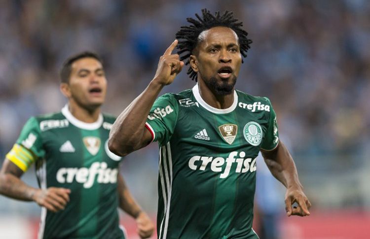 Zé Roberto