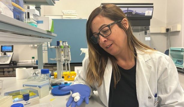 Investigación pionera: "tiritas" de gusano de seda para reparar la cornea. Foto: Europa Press.