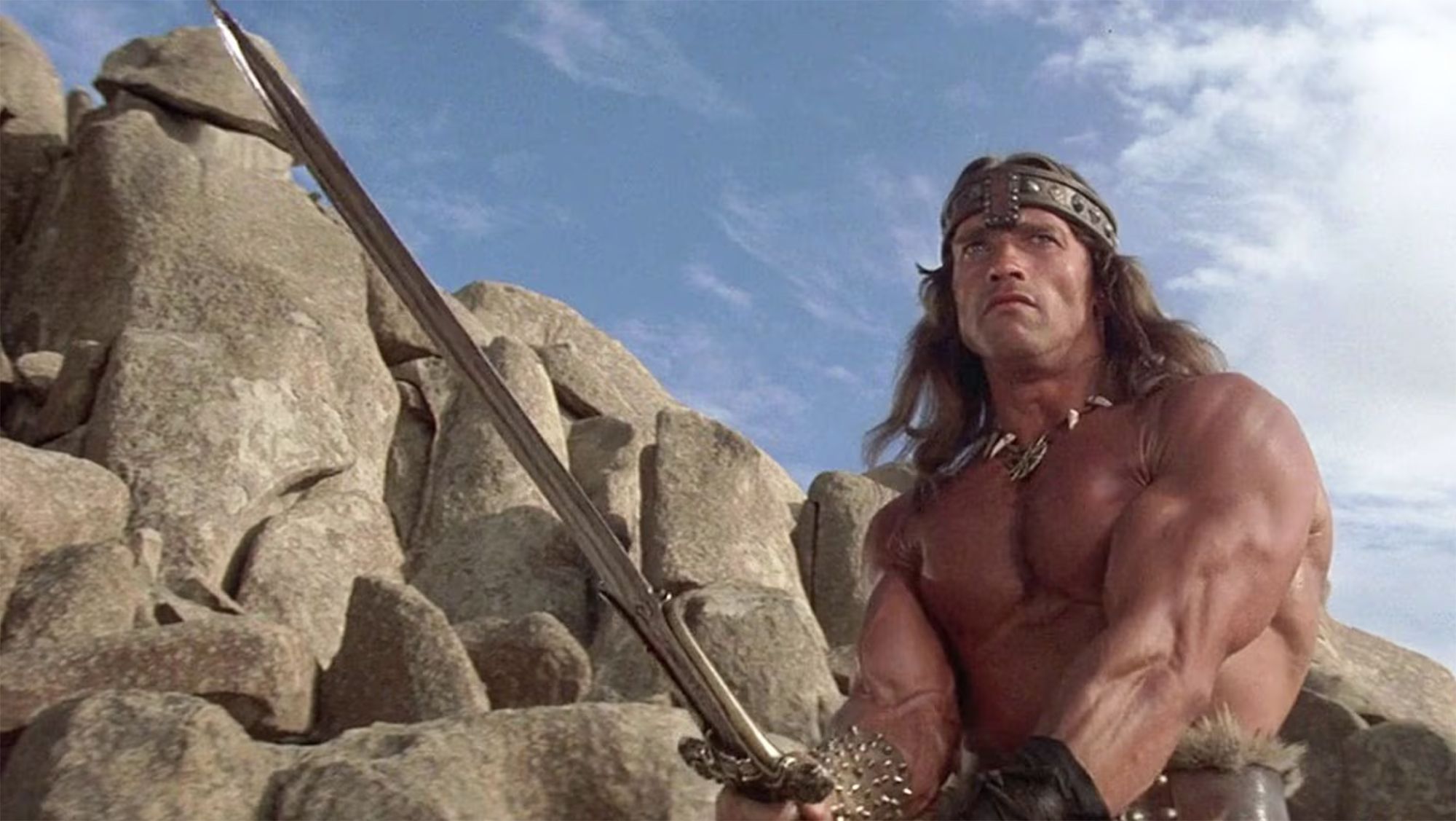 Arnold Schwarzenegger volverá a ponere en la piel de Conan 