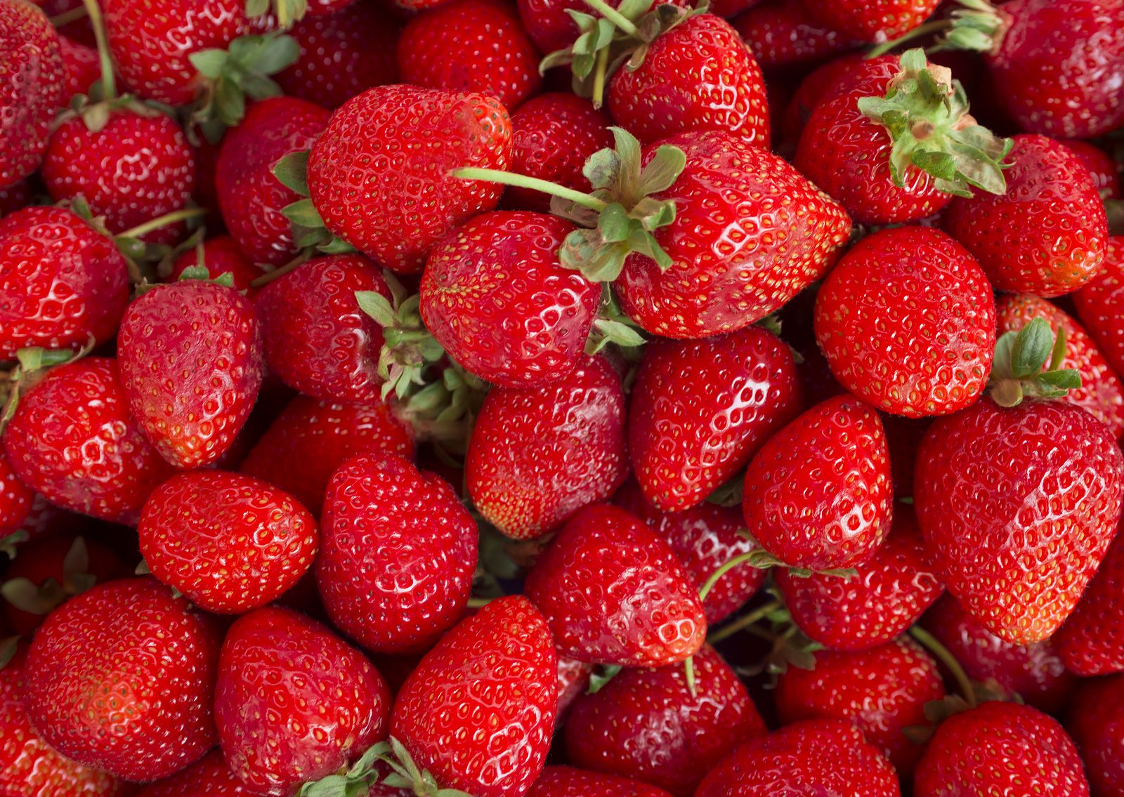 El truco de los chefs para potenciar el sabor de las fresas sin añadir azúcar. Foto: Bigstock.