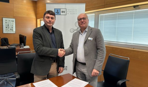 SEGG e IBV se unen para liderar la innovación tecnológica en el envejecimiento (SEGG)