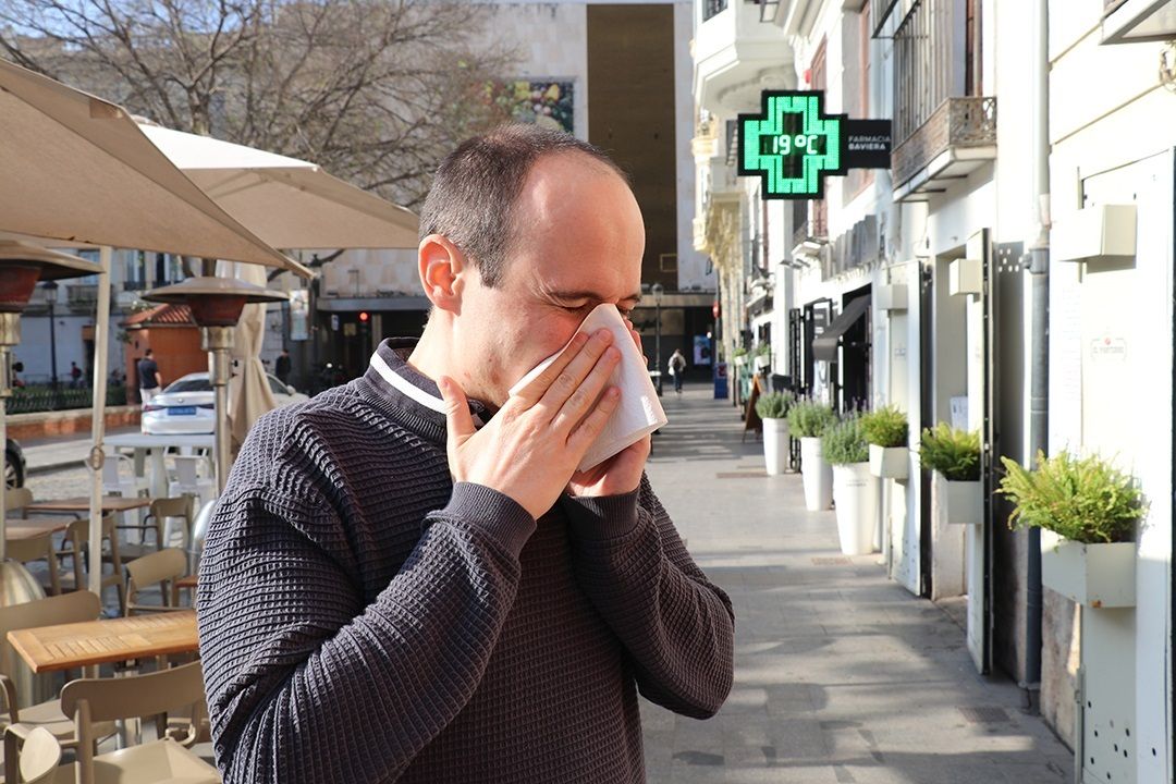 Las zonas de España en las que será peor la alergia esta primavera