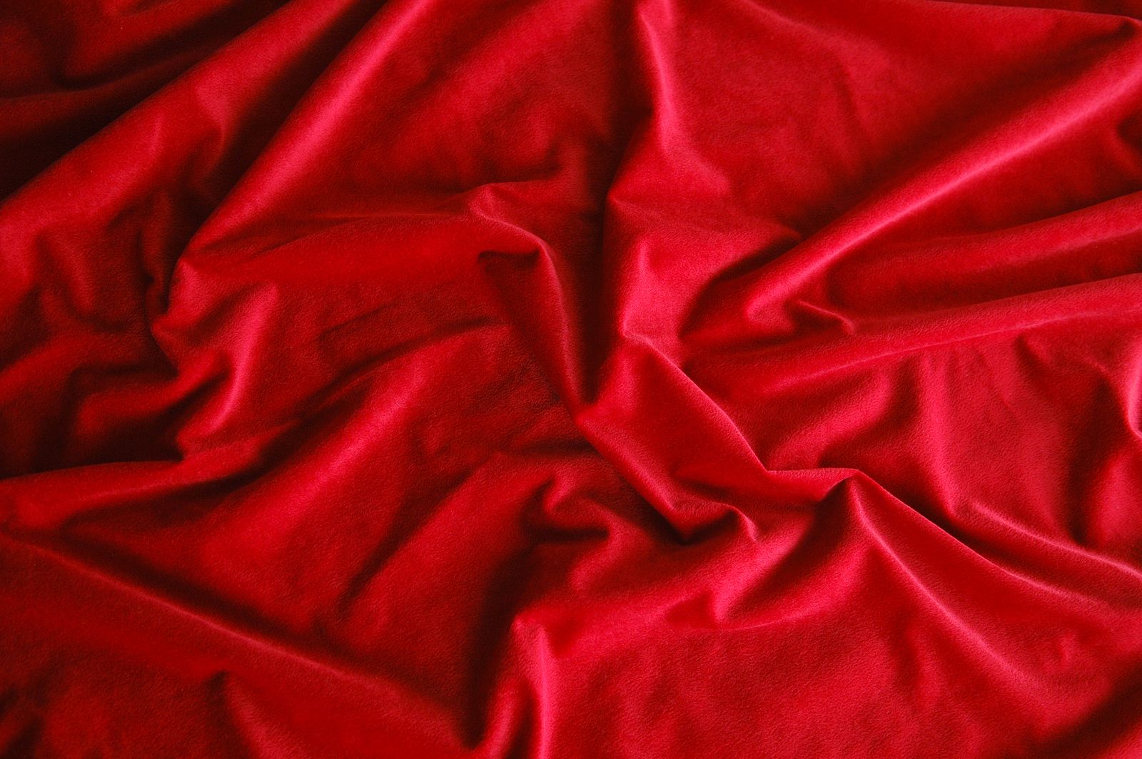 Cómo limpiar el terciopelo sin estropear su textura. Fuente: BigStock.