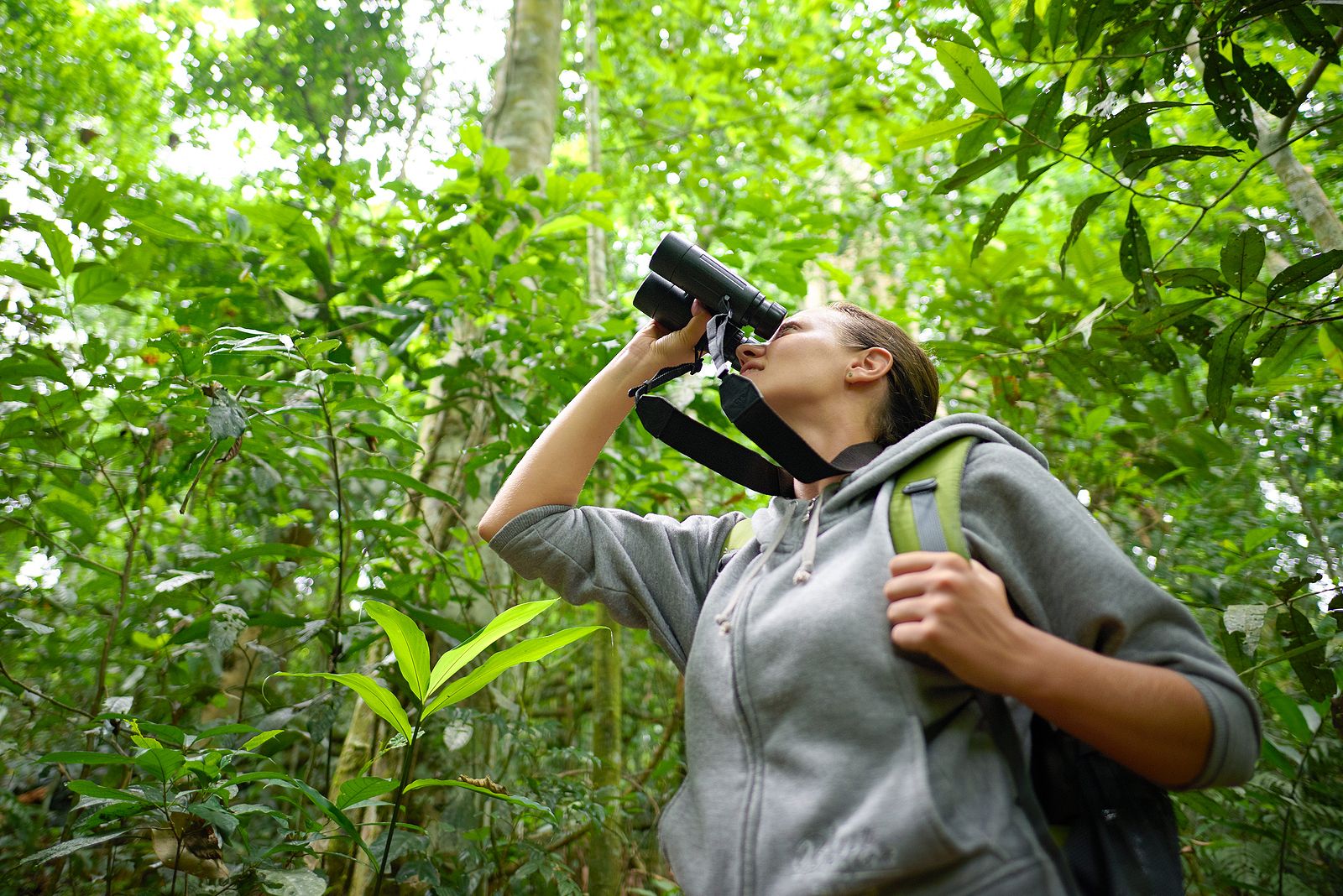 Observar aves podría retrasar el envejecimiento cerebral