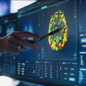 Un mismo estudio, distintas conclusiones: la ciencia revela su variabilidad