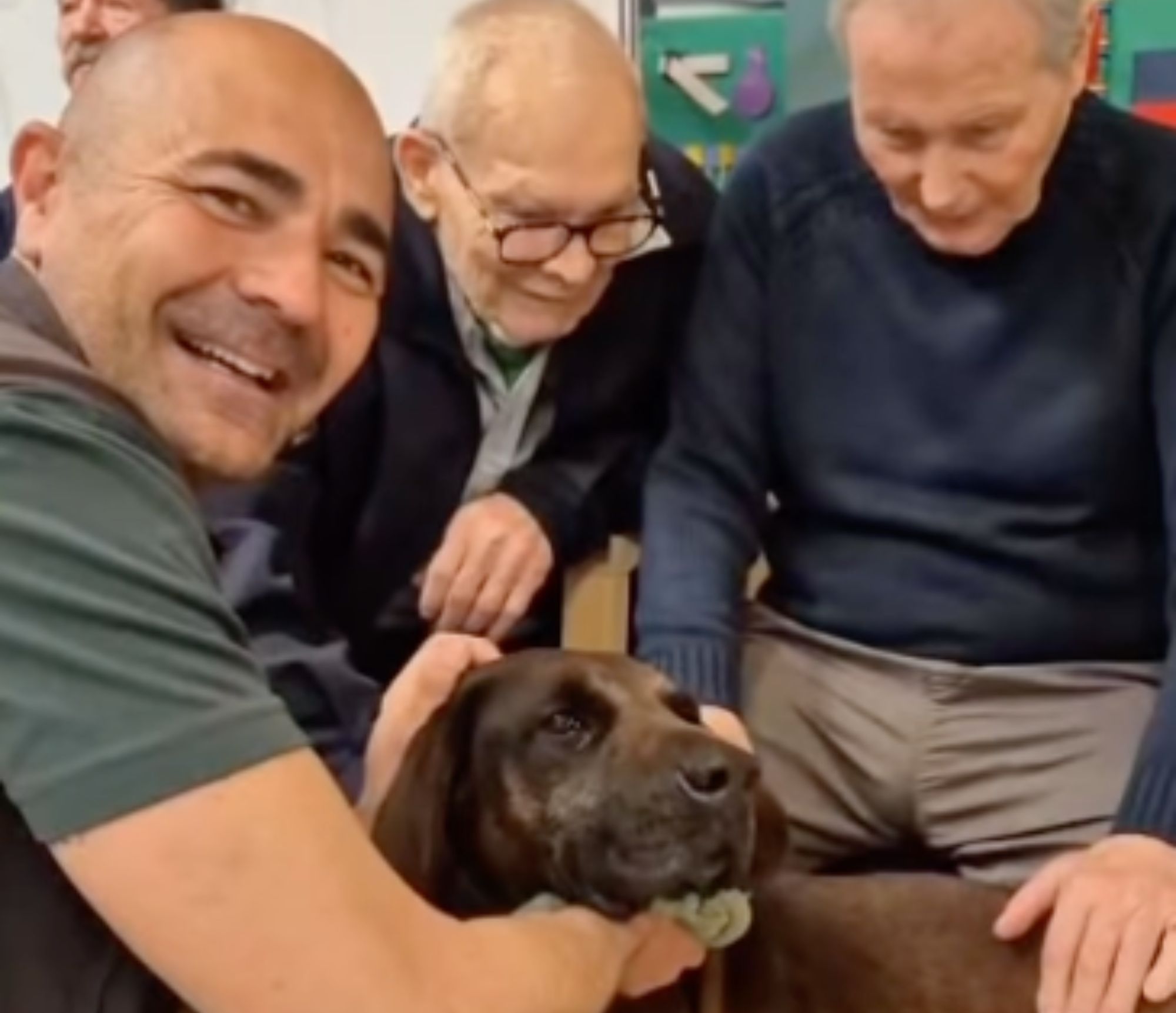 VÍDEO: Así ha sido la visita de los perros de la Guardia Civil a los mayores de una residencia (Instagram: @guardiacivil062)