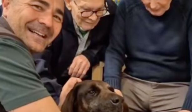 VÍDEO: Así ha sido la visita de los perros de la Guardia Civil a los mayores de una residencia (Instagram: @guardiacivil062)