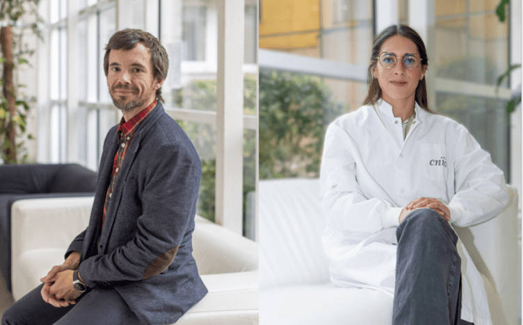 un nuevo hallazgo contra la metastasis cerebral muestra como el tumor secuestra celulas defensivas para usarlas en su favor 752x468