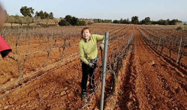 Subida de cuotas de autónomos: 7 de cada 10 afectados son mujeres, mayores de 50 y del mundo rural