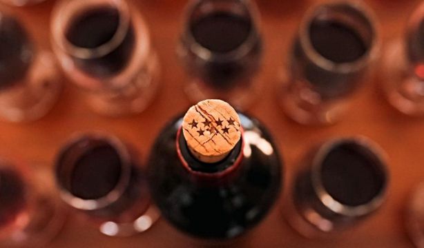 Hito para el vino de Madrid: descubren 22 variedades centenarias de vid que se creían desaparecidas
