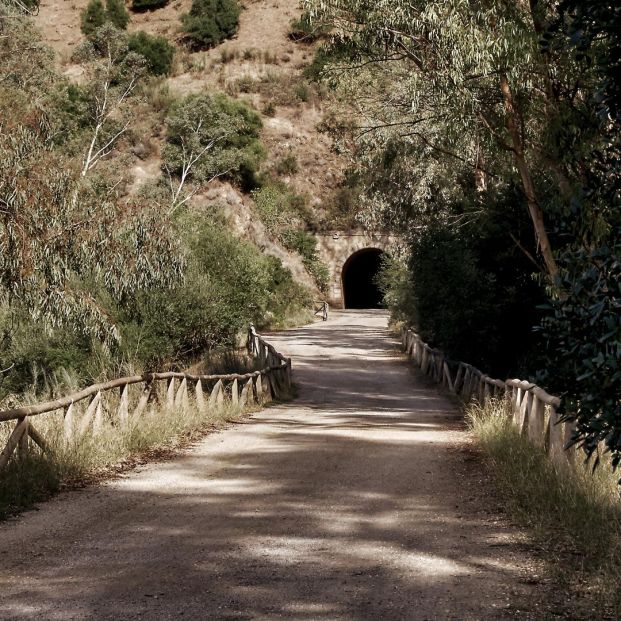 Camino por la Vía Verde de la Sierra