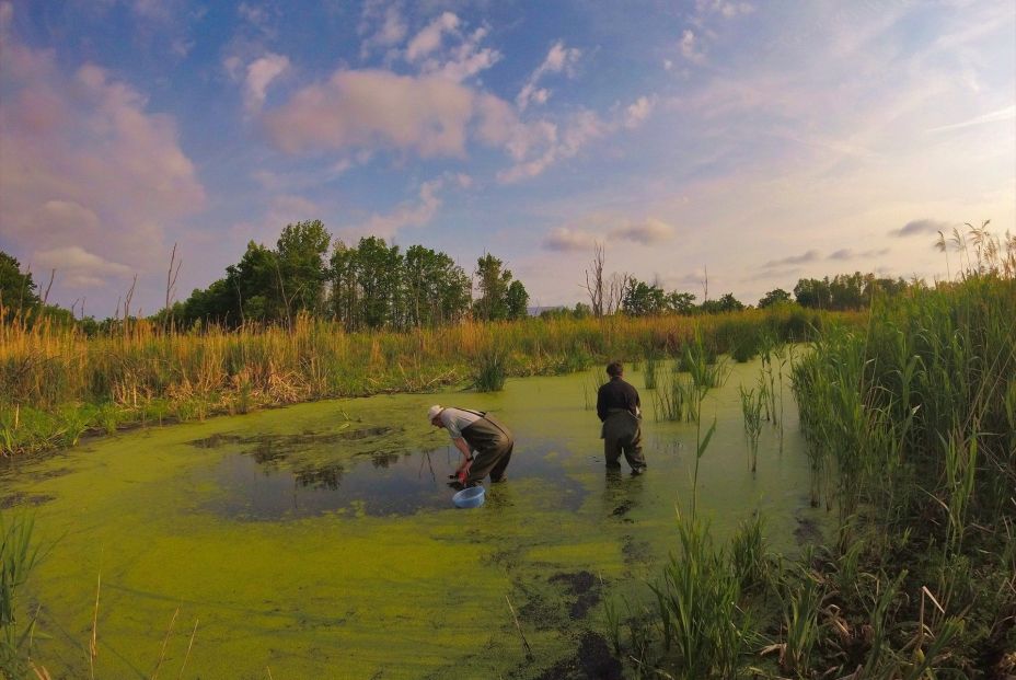 La investigación de las comunidades microbianas de Chernóbil revela signos de adaptación a la radiación. Fuente: Europa Press.