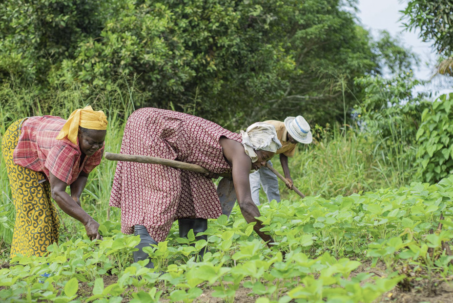 Innovar no es solo tecnología: distintas formas de innovación para un mundo más justo