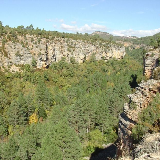 parque natural serrania de cuenca