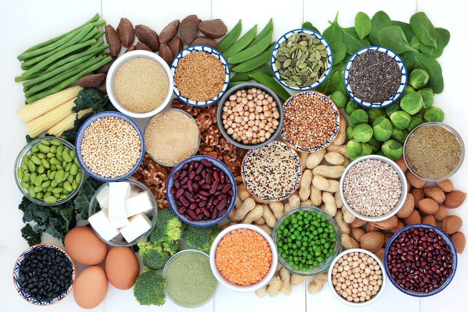 Cuáles son las principales fuentes de proteína vegetal para los mayores