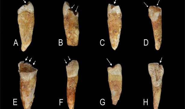 ¿Cómo se construía la identidad de género en la Prehistoria? Las marcas en los dientes lo revelan. Fuente: Europa Press.