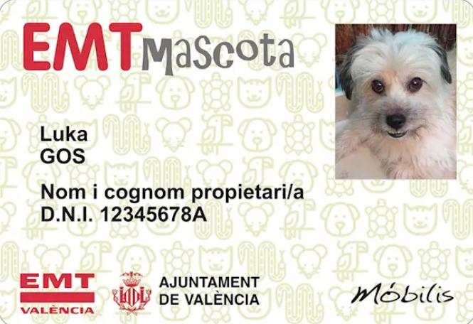 Carnet mascotas Valencia