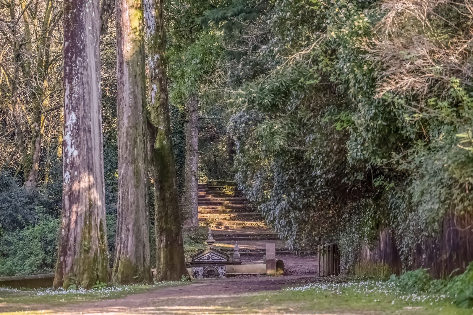 Bussaco, el maravilloso bosque situado al norte de Coimbra (Portugal)