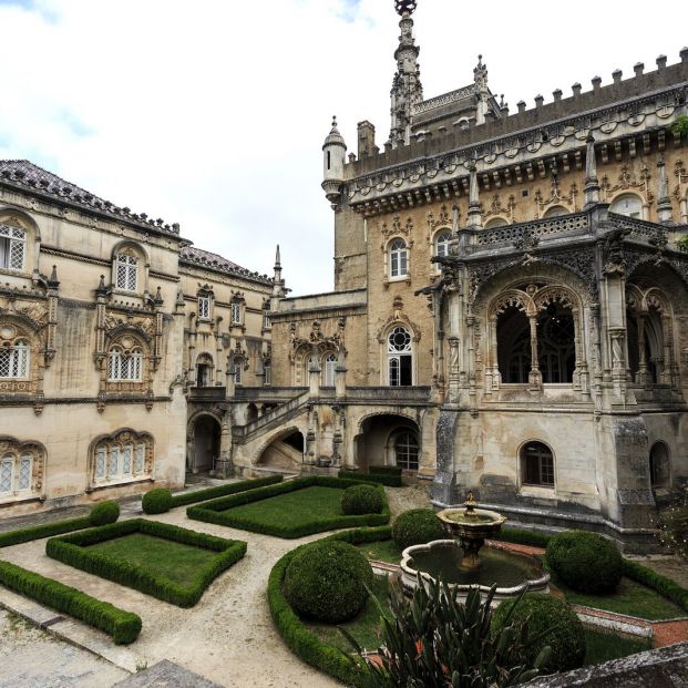 Bussaco, el maravilloso bosque situado al norte de Coimbra (Portugal)