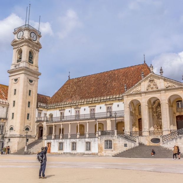 Bussaco, el maravilloso bosque situado al norte de Coimbra (Portugal)