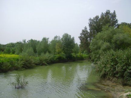 Ruta por el Corredor Verde del Río Guadiamar