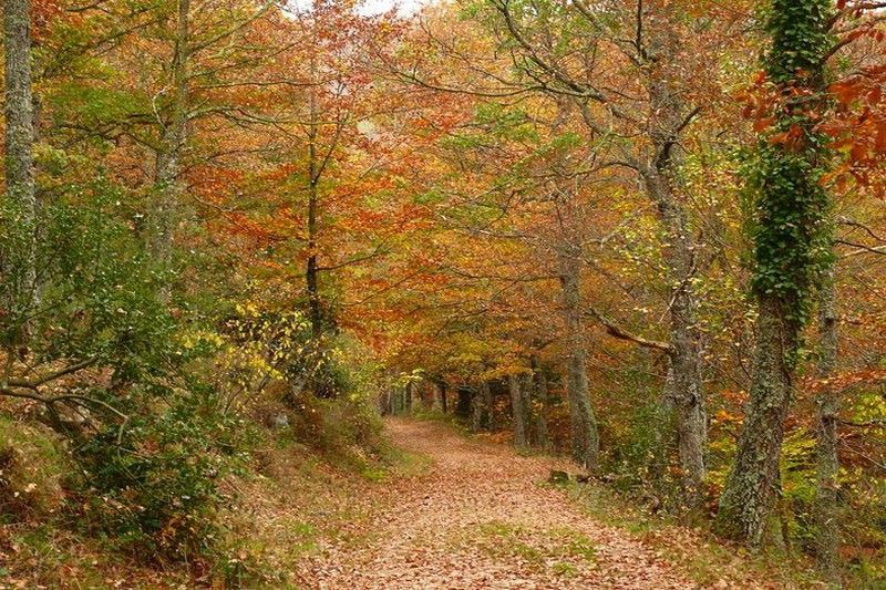 Ruta del Monte Hijedo