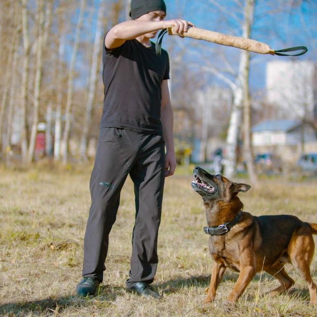 ¿Qué perros están obligados a llevar bozal? Otros usos de este complemento y cómo colocarlo bien