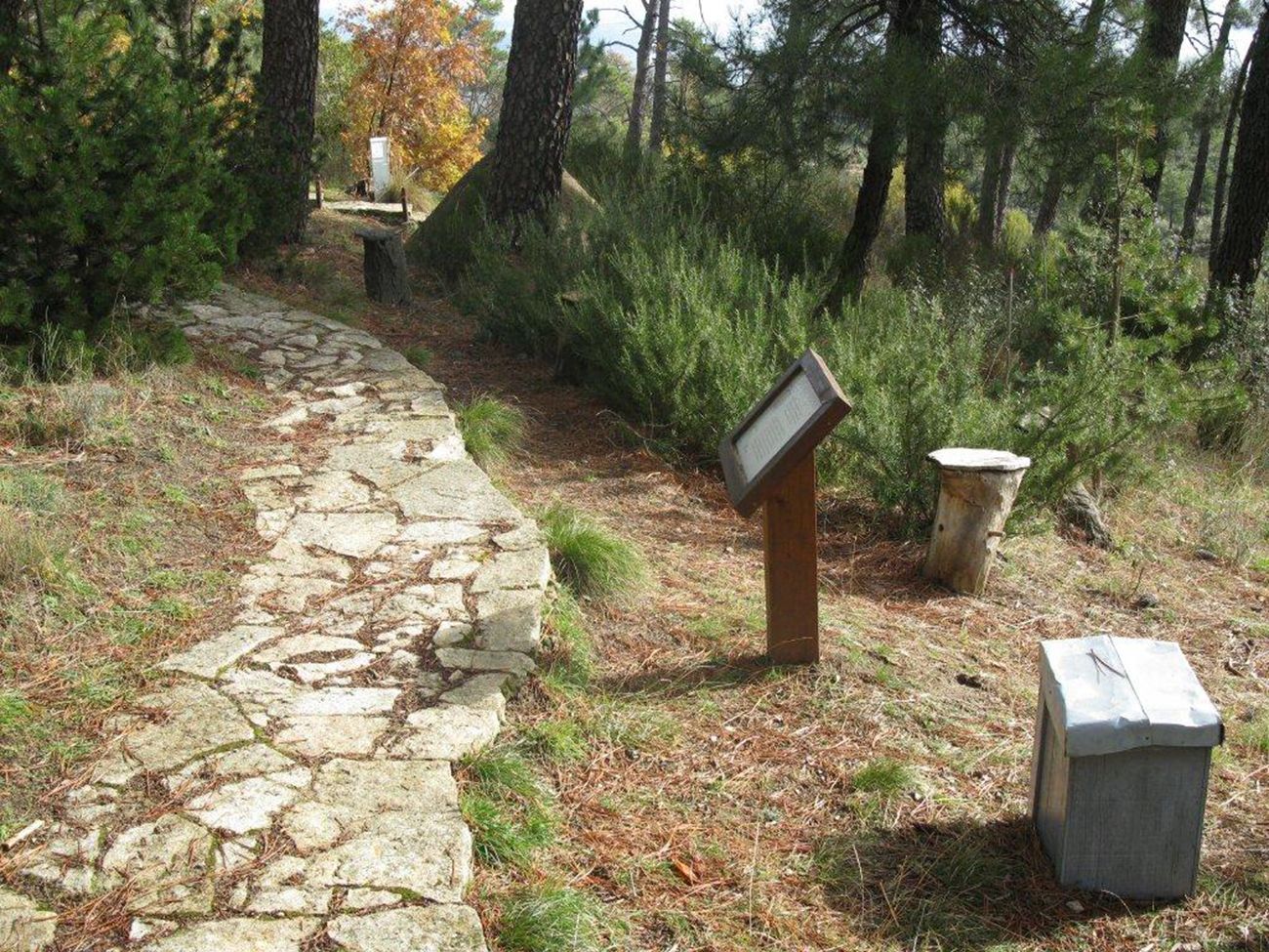 De paseo por el Arboreto de Luis Ceballos conoce sus caminos y la naturaleza que le rodea