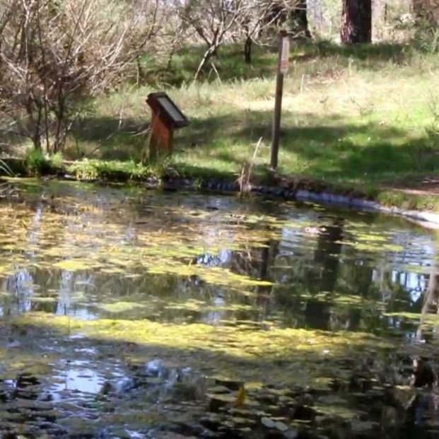 De paseo por el Arboreto de Luis Ceballos