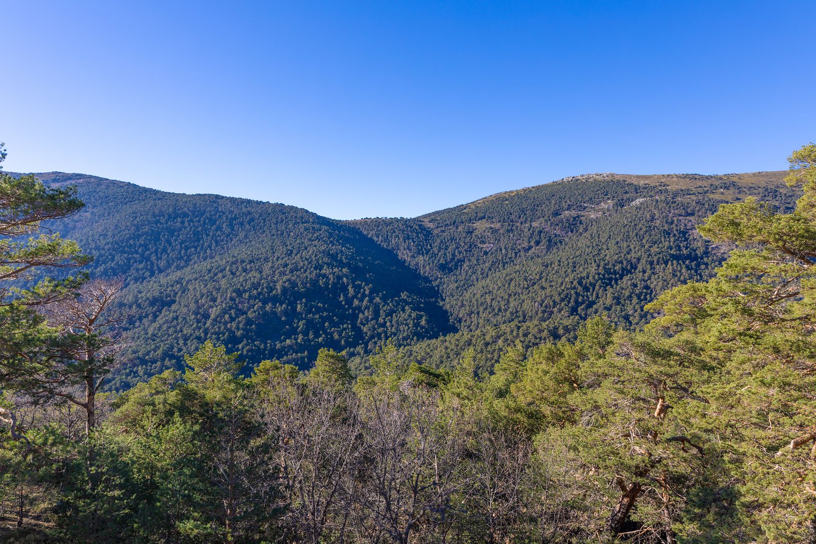 El Camino Schmid, una ruta imprescindible para los amantes de la Sierra de Guadarrama