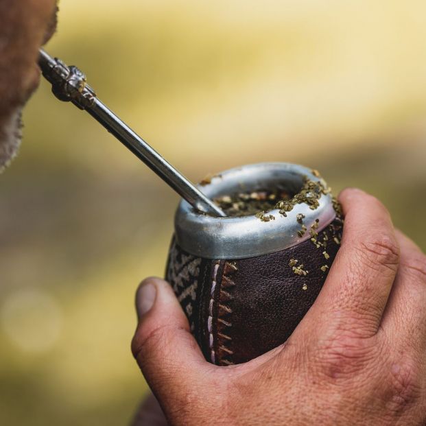 El mate gana adeptos: propiedades de esta infusión y contraindicaciones para las personas mayores El mate gana adeptos: propiedades de esta infusión y contraindicaciones para las personas mayores