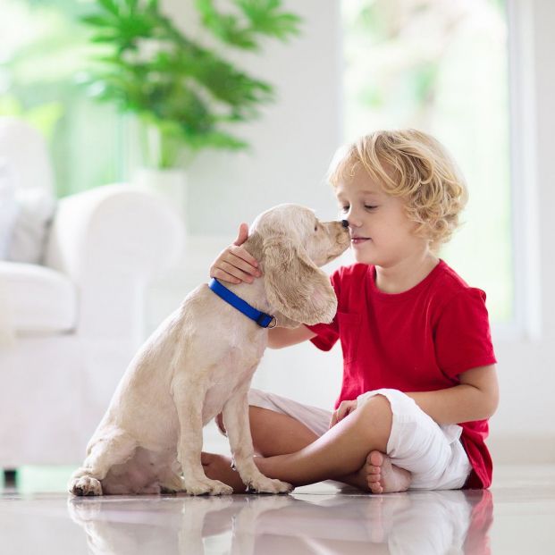 regalo cachorro a nieto