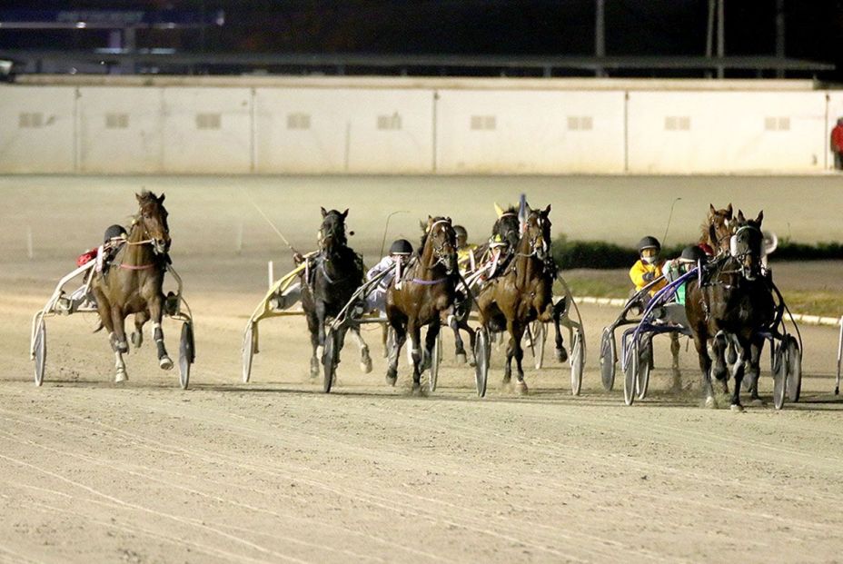 Hipódromo de Son Pardo