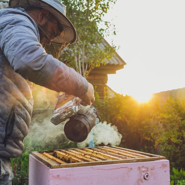 La Comisión Europea rechaza mostrar en el etiquetado el origen o procedencia de la miel
