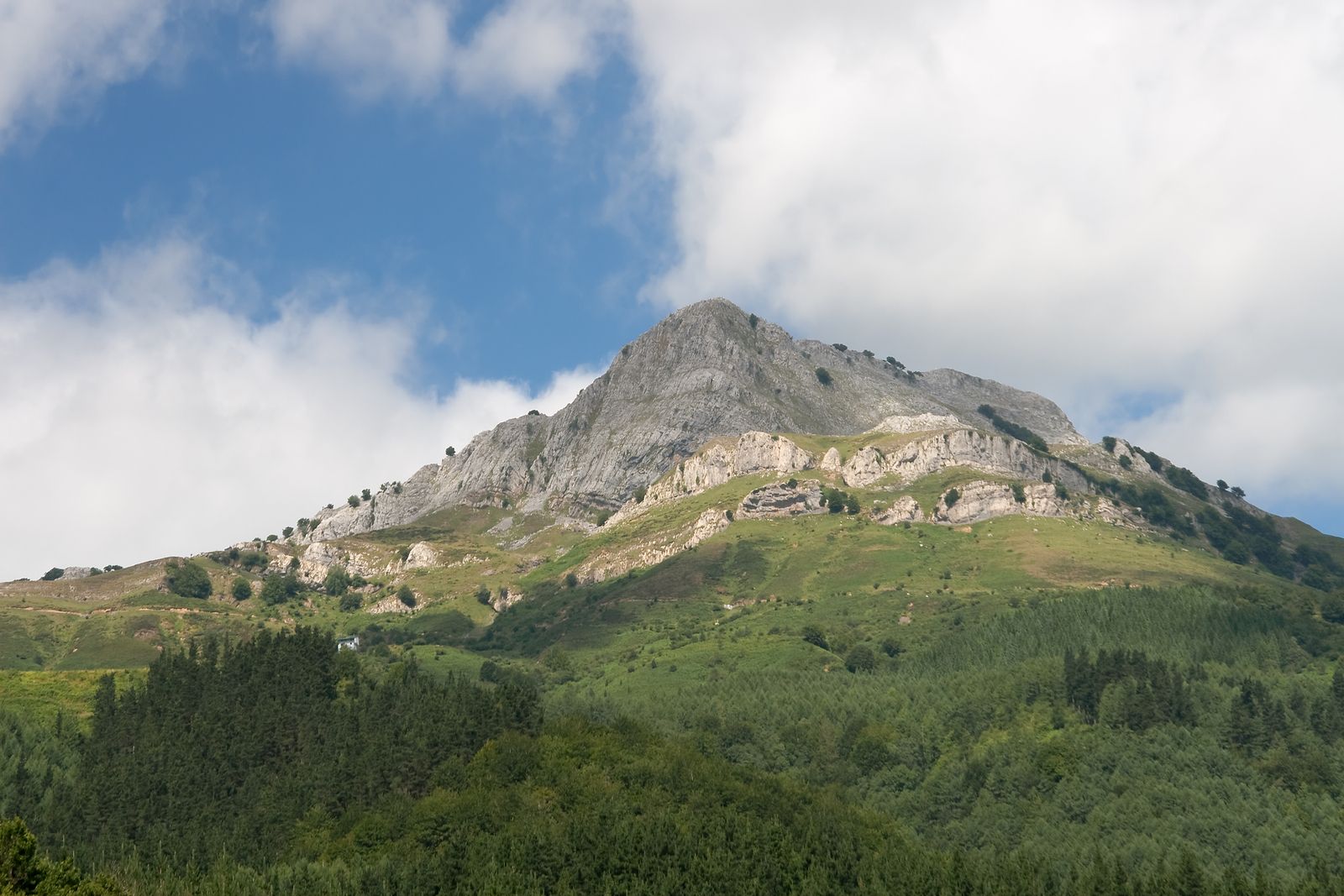 Parque Natural de Gorbeia