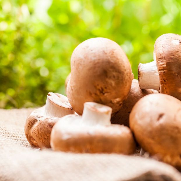 Alimentos que es mejor evitar cuando las personas mayores practican yoga