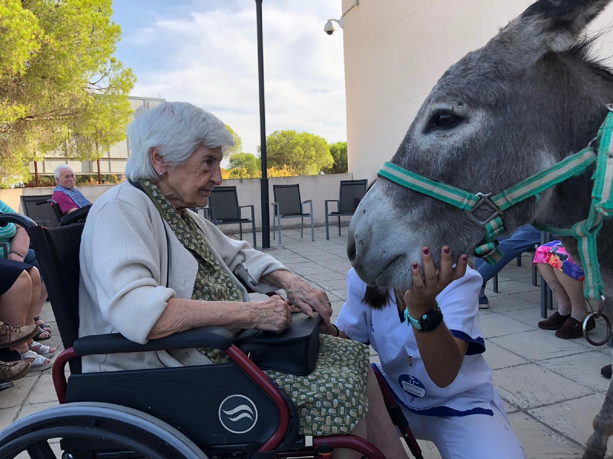 El burro, el animal con el que hacen terapia las personas con alzhéimer de la provincia de Huelva
