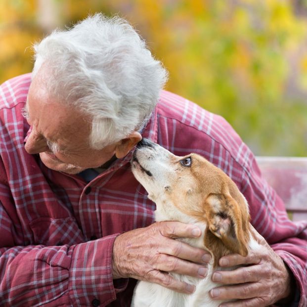 "Un ladrido por una sonrisa":  ahora los perros pueden visitar a los mayores en las residencias
