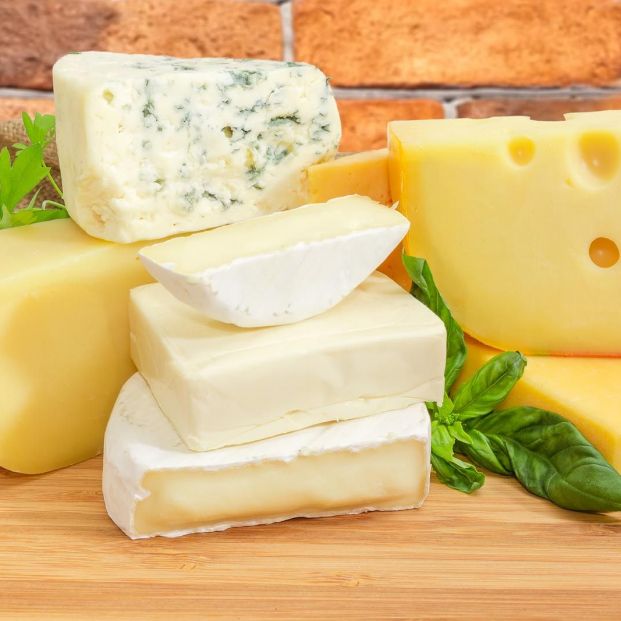 ¿Qué tipos de queso son más recomendables?