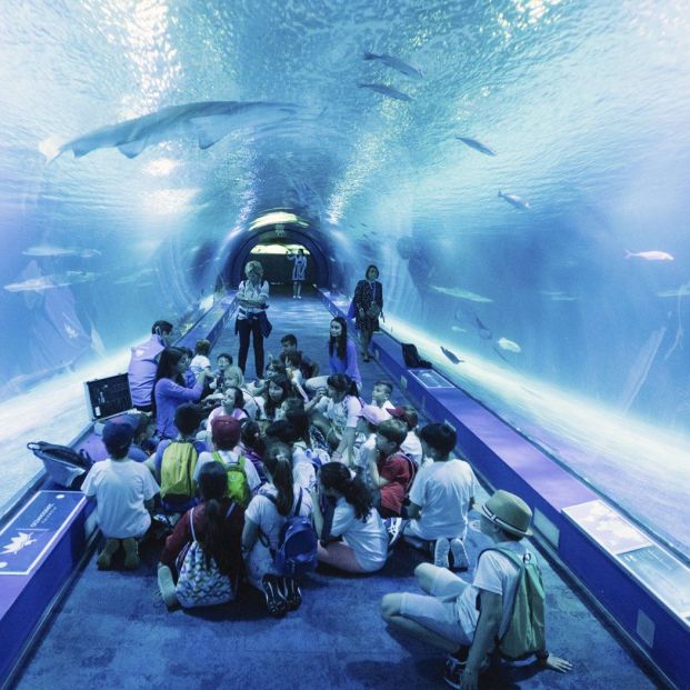 Grandes acuarios: Oceanografic de Valencia Grandes acuarios: Oceanografic de Valencia